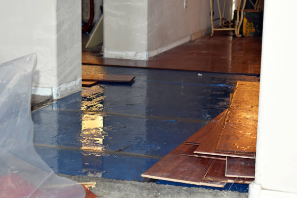 Professional Basement Flood Cleanup technician working in Garden City, ID